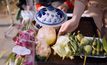 สสส. ห่วง พระอ้วน-อาพาธหนัก เกิน 50% มีไขมันในเลือดสูง พ่วงเบาหวาน
