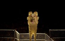 Isle of Dogs แรงต่อเนื่อง ขึ้นอันดับ 5 หนังอินดี้ทำเงินสูงสุดปี 2018