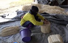 โครงการประชารัฐเครือสหพัฒน์ ด้านการเกษตรและสิ่งแวดล้อม