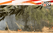 ไฟไหม้ป่าภูหลง จ.ชัยภูมิ เพิ่มความรุนแรง