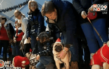 ปาร์ตี้คนรักปั๊กในยูเครน