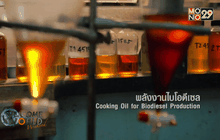 ปลุกเมืองให้โลกเปลี่ยน กับกิจกรรม “เมืองนี้ฉันรัก” ตอน2