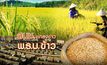 สนช. ยกธงขาว พ.ร.บ. ข้าว 26-02-62