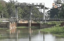 กว๊านพะเยาแห้งแล้งหนัก