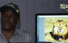 ซิมบับเวกล่าวหานักล่าชาวอเมริกันรายที่ 2