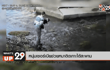 หนุ่มเซอร์เบียช่วยหมาติดเกาะใต้สะพาน