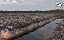 เร่งแก้ปัญหากลุ่มทุนบุกรุกป่าภาคใต้