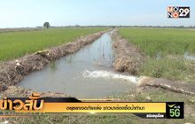 อยุธยาเจอภัยแล้ง ชาวนาต้องซื้อน้ำทำนา