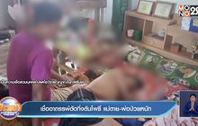 เชื่ออาถรรพ์ตัดกิ่งต้นโพธิ์ แม่ตาย-พ่อป่วยหนัก