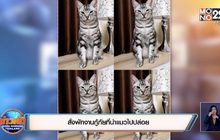 ยันดำเนินคดีกู้ภัยเอา “เจ้าสัว” ไปปล่อยจนตาย