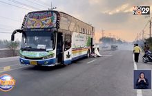 เอาผิด! คนเผาตอซังข้าว ควันโขมงถนน ชนยับ 3 คัน