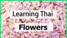 Learning Thai : Flowers