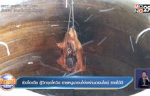 เปิดไอเดีย สู้วิกฤตโควิด ขายหนูนาอบโอ่งผ่านออนไลน์ รายได้ดี