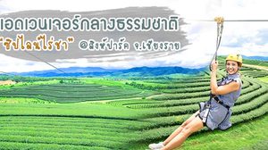 แอดเวนเจอร์กลางธรรมชาติ “ซิปไลน์ไร่ชา” @สิงห์ปาร์ค จ.เชียงราย