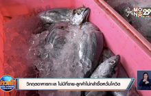 วิกฤตอาหารทะเล ไม่มีที่ขาย-ลูกค้าไม่กล้าซื้อหวั่นโควิด
