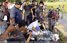 ชาวบ้านพบศพทารกถูกทิ้ง จ.เพชรบุรี