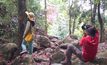 เมเปิลผลัดใบสีแดงบนเขตรักษาพันธุ์สัตว์ป่าภูหลวง