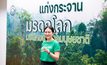 เปิดผลงาน ไม่ธรรมดา  ดร.ติ๊ก รวีวรรณ ภูริเดช   ปลัดทส.คนใหม่ ผู้ผลักดัน ให้ประเทศไทย เป็นกรรมการมรดกโลก