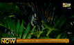 Jurassic ประกาศภาคใหม่ หวังโกยต่อเนื่องได้พระเอกเดิมลุยไดโนเสาร์