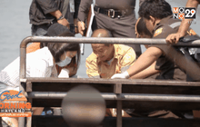 พบชิ้นส่วนมนุษย์ท่าเรือวัดตำหนักใต้