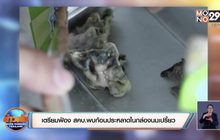 เตรียมฟ้อง สคบ.พบก้อนประหลาดในกล่องนมเปรี้ยว