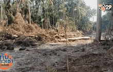 นายกฯ เตรียมสอบ ส.ป.ก.ออกโฉนดไม่ชอบ