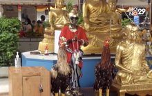 ไอ้ไข่ฟีเวอร์ ขยายเที่ยวบินเมืองคอน 30 เที่ยวต่อวัน