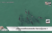 ฉลามบุกชายฝั่งออสเตรเลีย กัดชาวญี่ปุ่นตาย 1