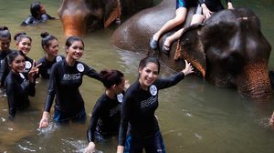 เกาะติด 25 สาวงามMT2017 เก็บตัววันที่ 2 สัมผัสธรรมชาติและความน่ารักของช้างไทย