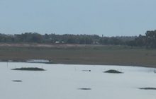 นายกฯ เผยปีนี้แล้ง “ขั้นวิกฤต” วอนคนไทยประหยัดน้ำ