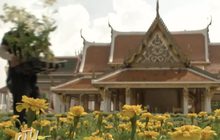 ประดับดอกไม้งดงามทั้งถนนราชดำเนิน