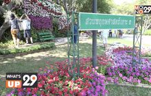 กฟผ. พรรณไม้งาม