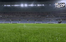 เผยโฉมสนามใหม่ลียงใช้ในยูโร 2016