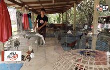 เจษฎาพาลุย : “สปาสุ่มไก่” รักษาโรคด้วยสมุนไพรใกล้ตัว จ.จันทบุรี