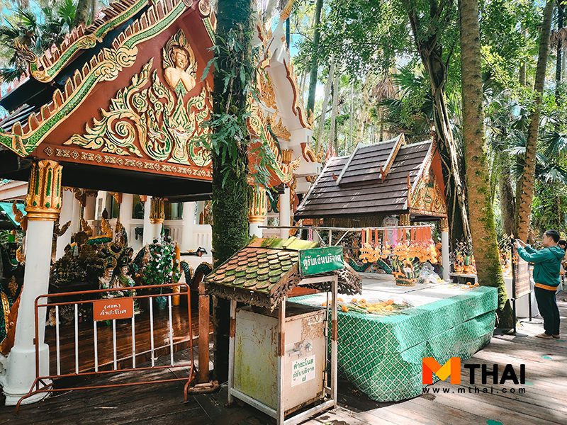 ป่าคำชะโนด