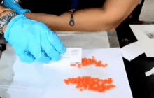 ตรวจค้นที่พักผู้ใหญ่บ้านอยุธยาพบวัยรุ่นมั่วสุมยาเสพติด