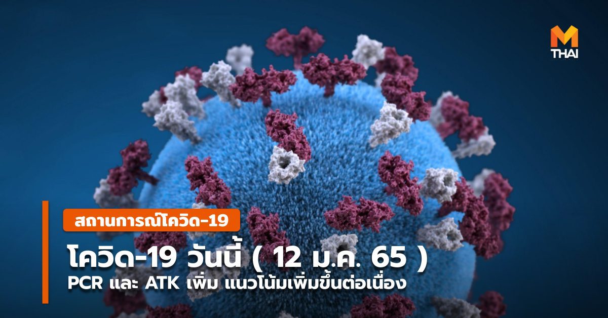 โควิด-19 วันนี้ (12 ม.ค.) PCR-ATK เพิ่มขึ้น