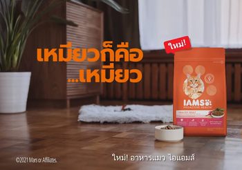 เปิดตัว “IAMS™” อาหารแมวพรีเมี่ยมระดับโลก พร้อมบุกตลาดไทย