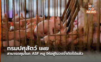 กรมปศุสัตว์ เผย สามารถคุมโรค ASF หมู ให้อยู่ในวงจำกัดได้แล้ว