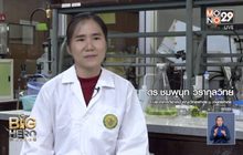 Big hero พลังคนดี ตอน นักเคมีหัวใจสีเขียว