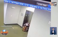 หนุ่มฮีโร่ช่วยสุนัขเกือบถูกลิฟท์หนีบ