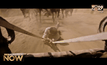 Ben-Hur ฉบับรีบูทส่งคลิปแรกสุดมันส์ระห่ำ