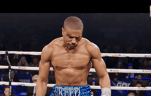 Creed หนังนักมวย ทุบสถิติรายได้เปิดตัวแฟรนไชส์เจ้าตำนาน “ร็อคกี้”