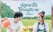ปลูกความรักไปกับซีรีส์ “My Goddess ปลูกหัวใจให้รักผลิบาน”  รับชมได้แล้ววันนี้ที่ MONOMAX