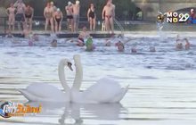 ว่ายน้ำท้าความหนาวคริสต์มาส