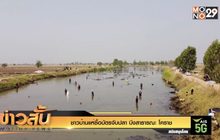 ชาวบ้านแห่ซื้อบัตรจับปลา บึงสาธารณะ โคราช