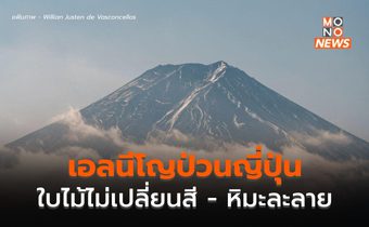 เอลนีโญ กระทบท่องเที่ยวญี่ปุ่น ต้นไม้ไม่เปลี่ยนสี – หิมะละลาย