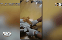 ตำรวจเม็กซิโกพบยาบ้าซุกตุ๊กตาหมี