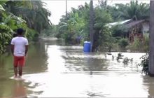 ชาวบ้านริมแม่น้ำตาปีถูกน้ำท่วม จ.สุราษฎร์ฯ
