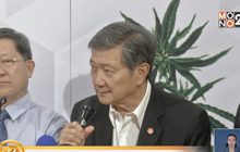 สธ.ชี้แจงผลิต-ปลูกกัญชาเพื่อการแพทย์เท่านั้น